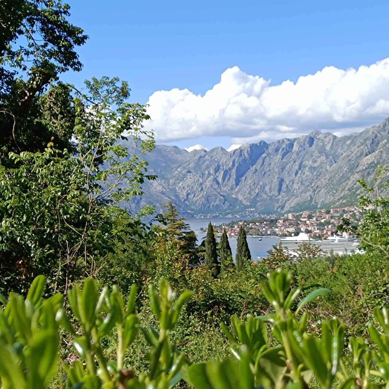 Radgost Kotor Apartments Buitenkant foto