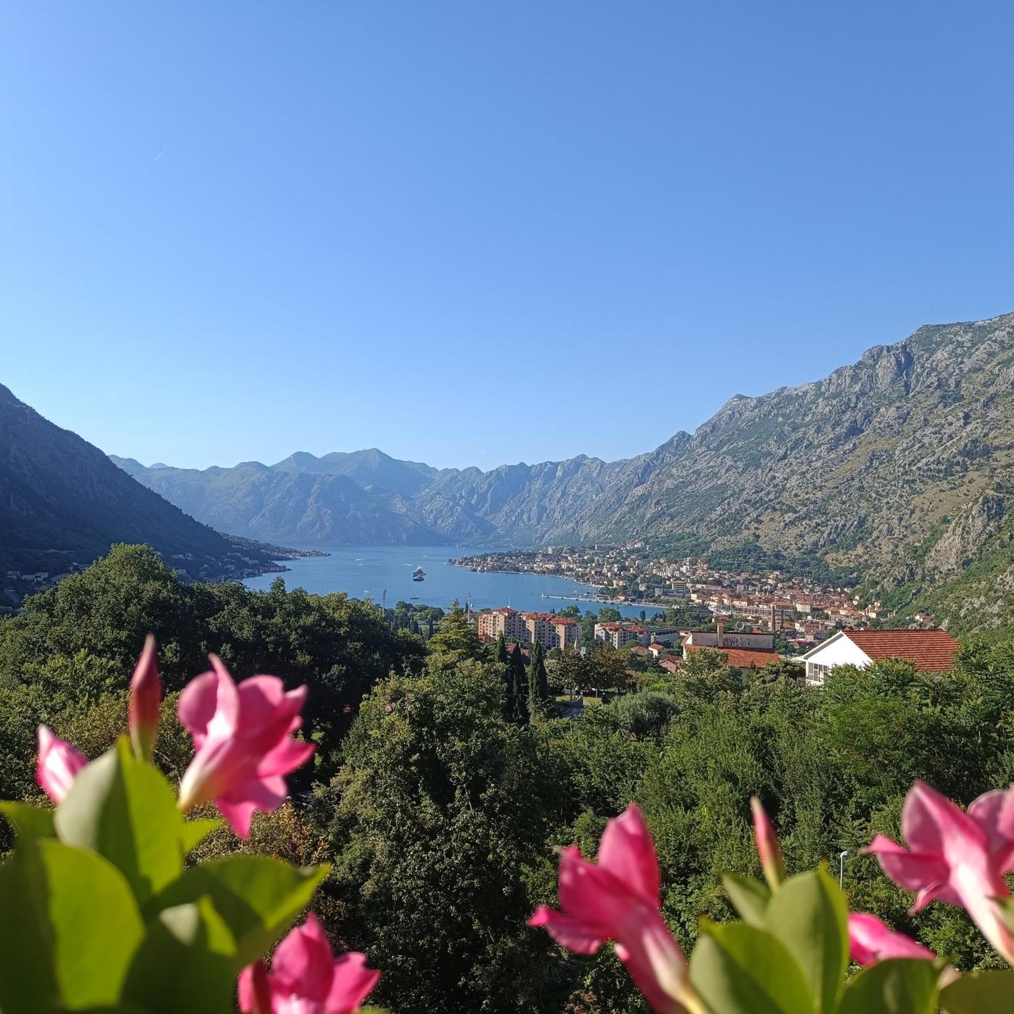 Radgost Kotor Apartments Buitenkant foto